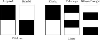 Strategies for Effective Use of Genomic Information in Crop Breeding Programs Serving Africa and South Asia